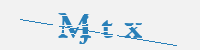 보안문자